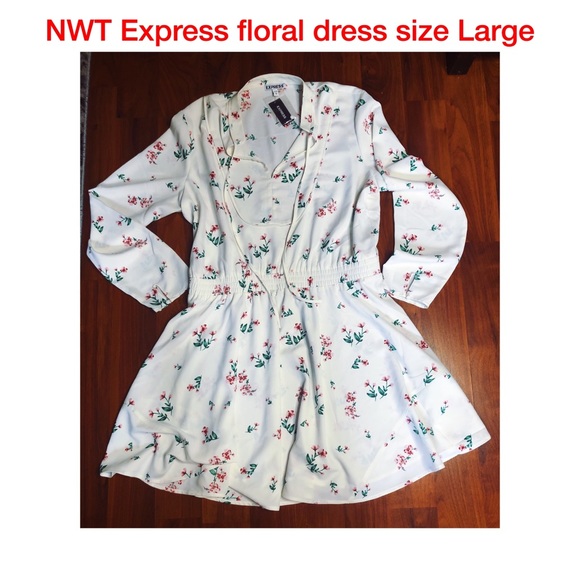 EXPRESS NWT floral A line flounce dress size L - Picture 1 of 5